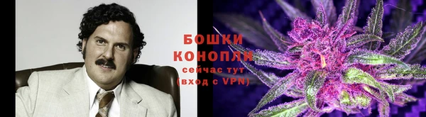 a pvp Аркадак