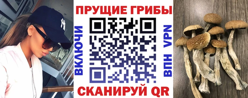 Галлюциногенные грибы GOLDEN TEACHER Асбест